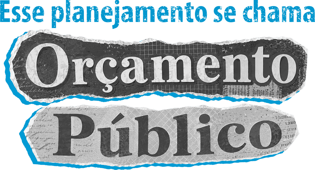 Esse planejamento se chama Orçamento Público