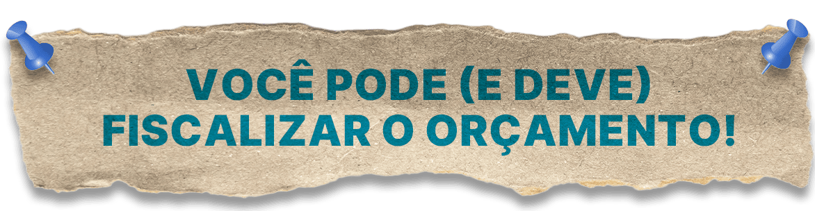 Você pode e deve fiscalizar o orçamento!